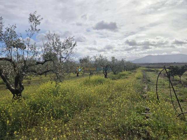 Grunde uden byggetilladelser til salg i Benigánim - € 42.000 (Ref: 9596799)