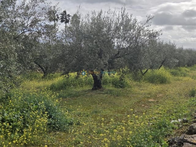 Grunde uden byggetilladelser til salg i Benigánim - € 42.000 (Ref: 9596799)