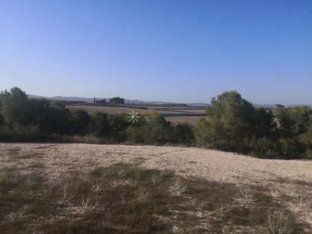 Undeveloped Land for sale in Albaida - € 100,000 (Ref: 9596865)