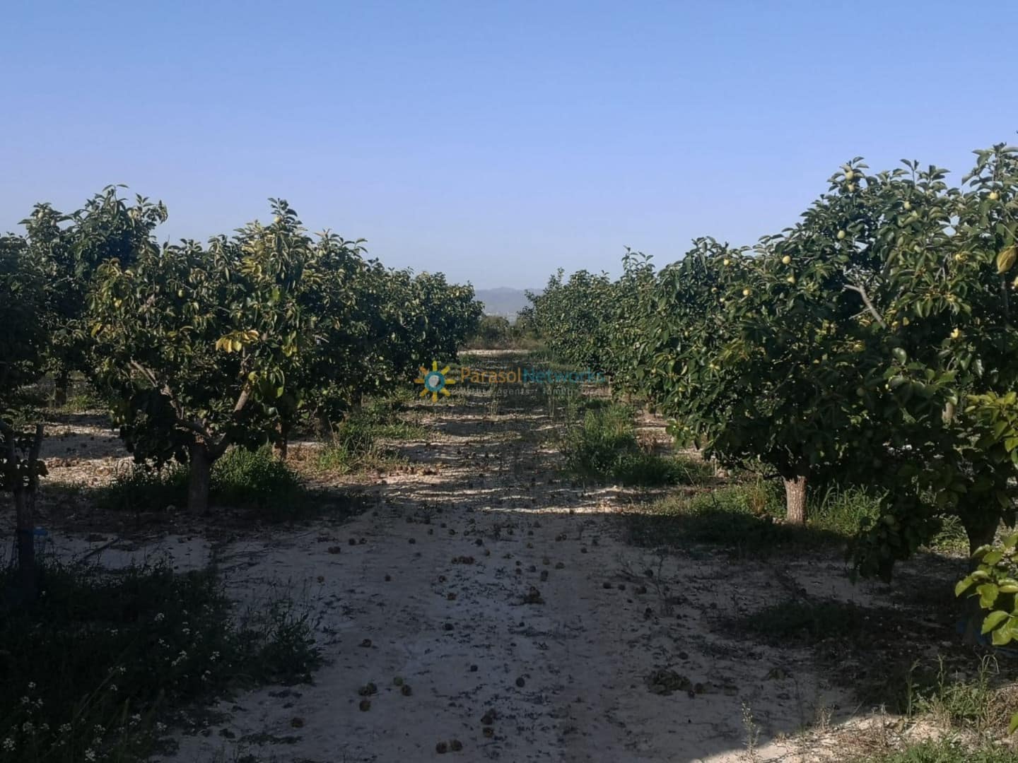 Undeveloped Land for sale in Albaida - € 100,000 (Ref: 9596865)