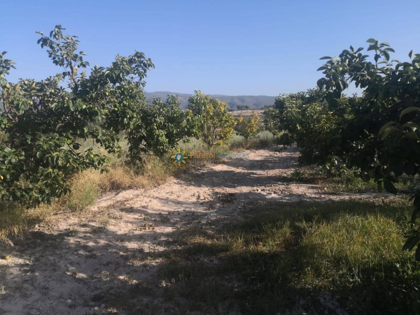 Undeveloped Land for sale in Albaida - € 100,000 (Ref: 9596865)