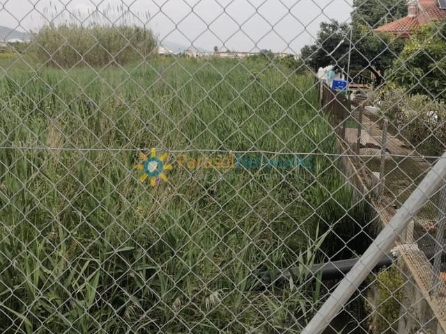 Działka budowlana na sprzedaż w Guardamar de la Safor - 35 000 € (Ref: 9610596)