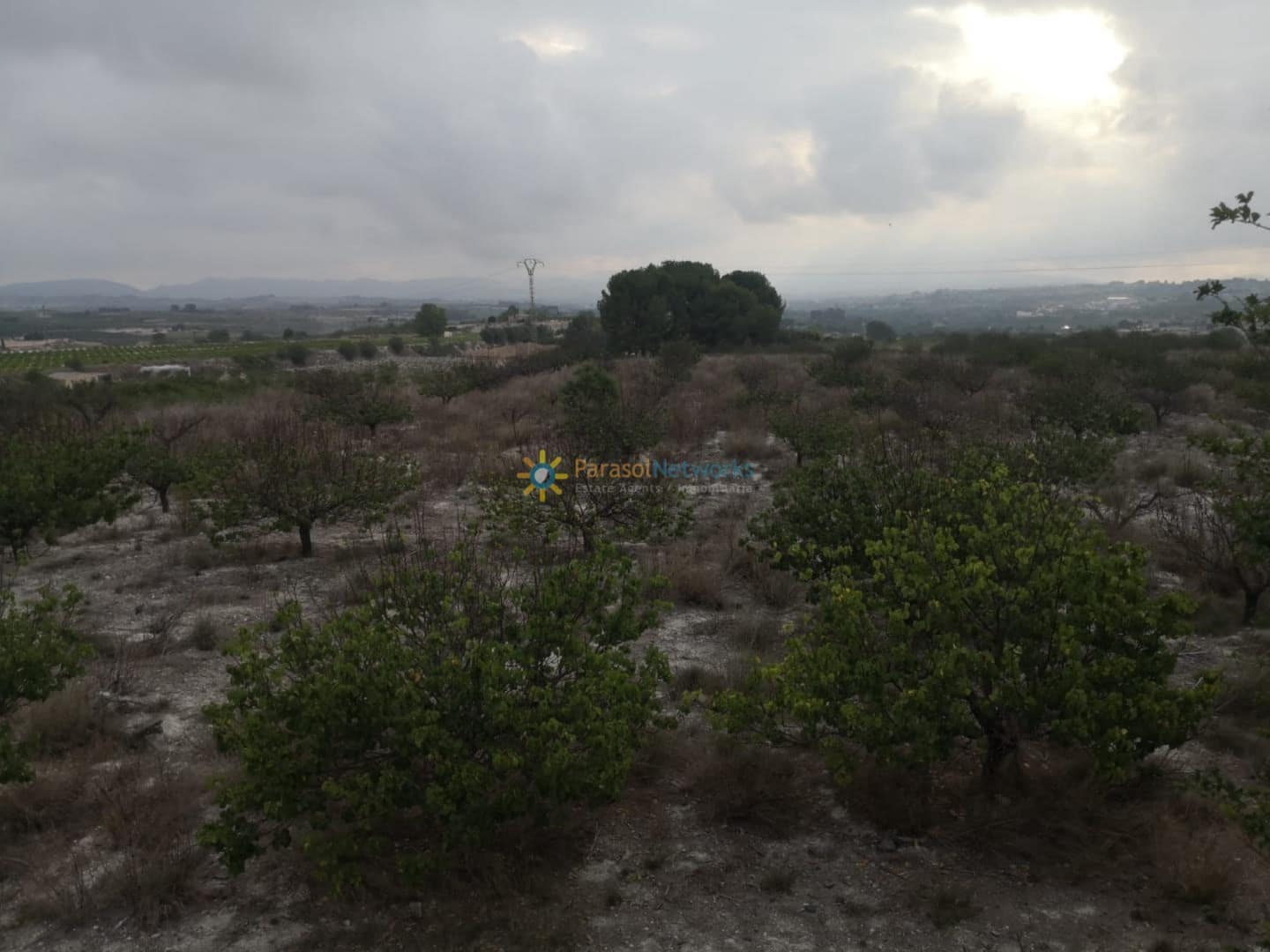 Finca/Landehus til salg i Albaida - € 375.000 (Ref: 9614296)