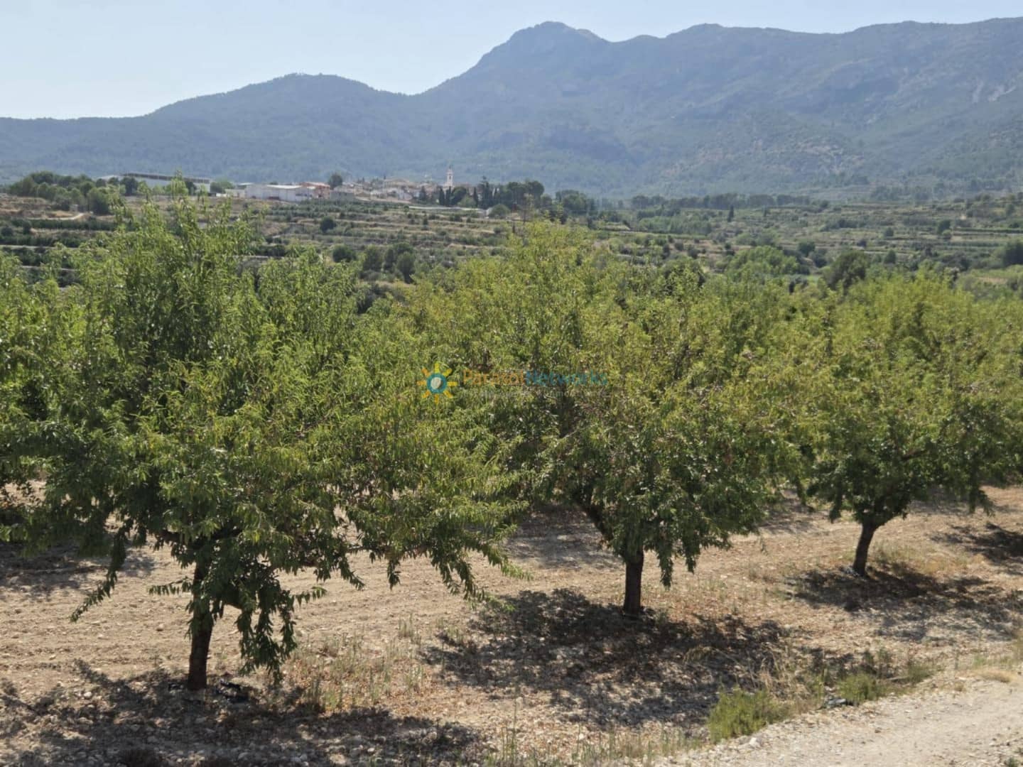 Undeveloped Land for sale in Belgida - € 50,000 (Ref: 9614526)