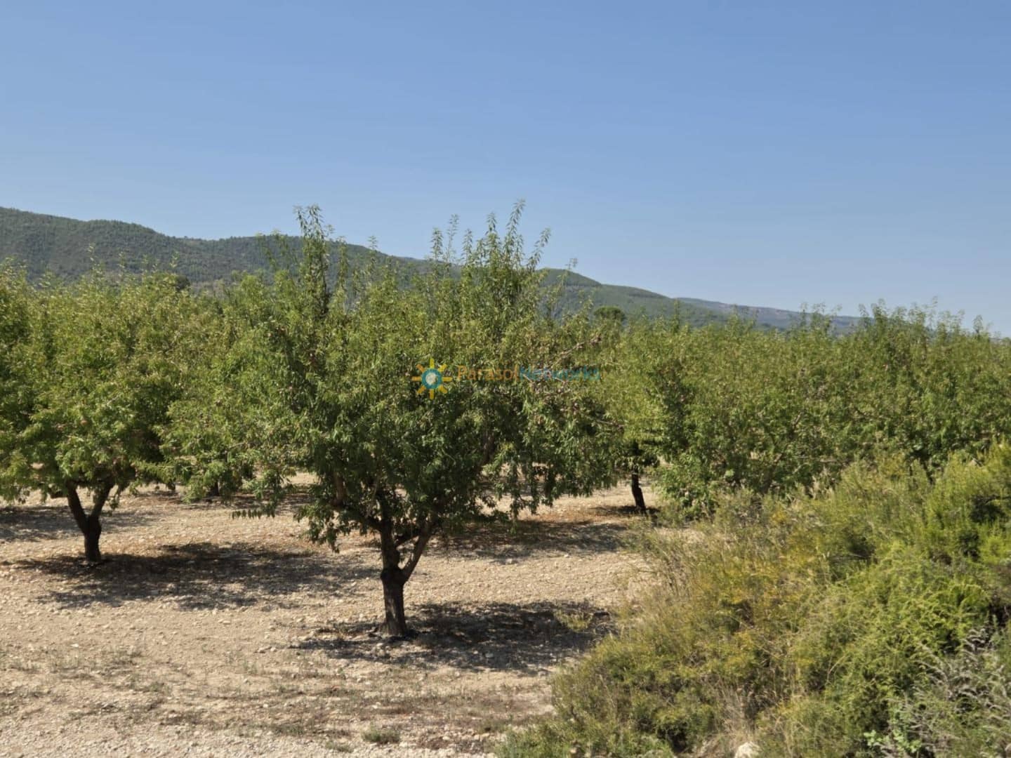 Undeveloped Land for sale in Belgida - € 50,000 (Ref: 9614526)