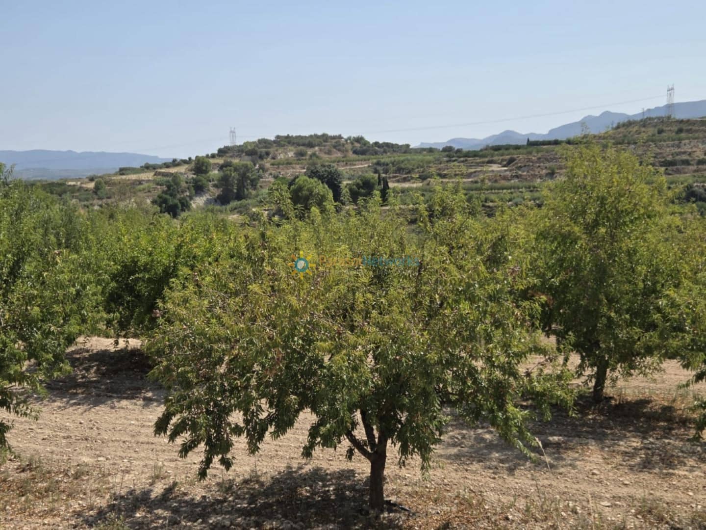 Undeveloped Land for sale in Belgida - € 50,000 (Ref: 9614526)