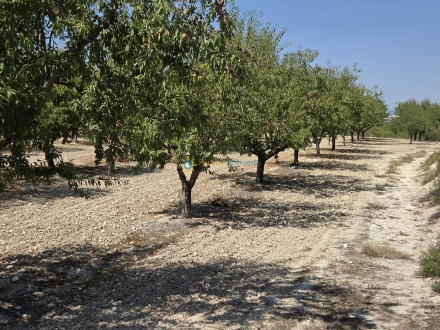 Undeveloped Land for sale in Belgida - € 50,000 (Ref: 9614526)