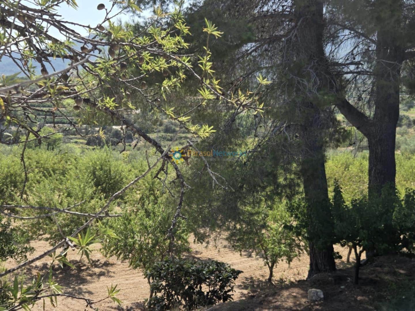 Undeveloped Land for sale in Belgida - € 50,000 (Ref: 9614526)