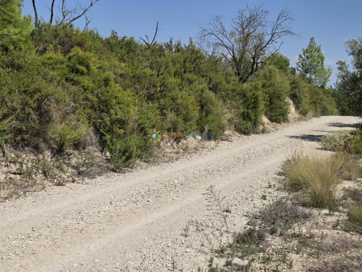 Undeveloped Land for sale in Belgida - € 50,000 (Ref: 9614526)