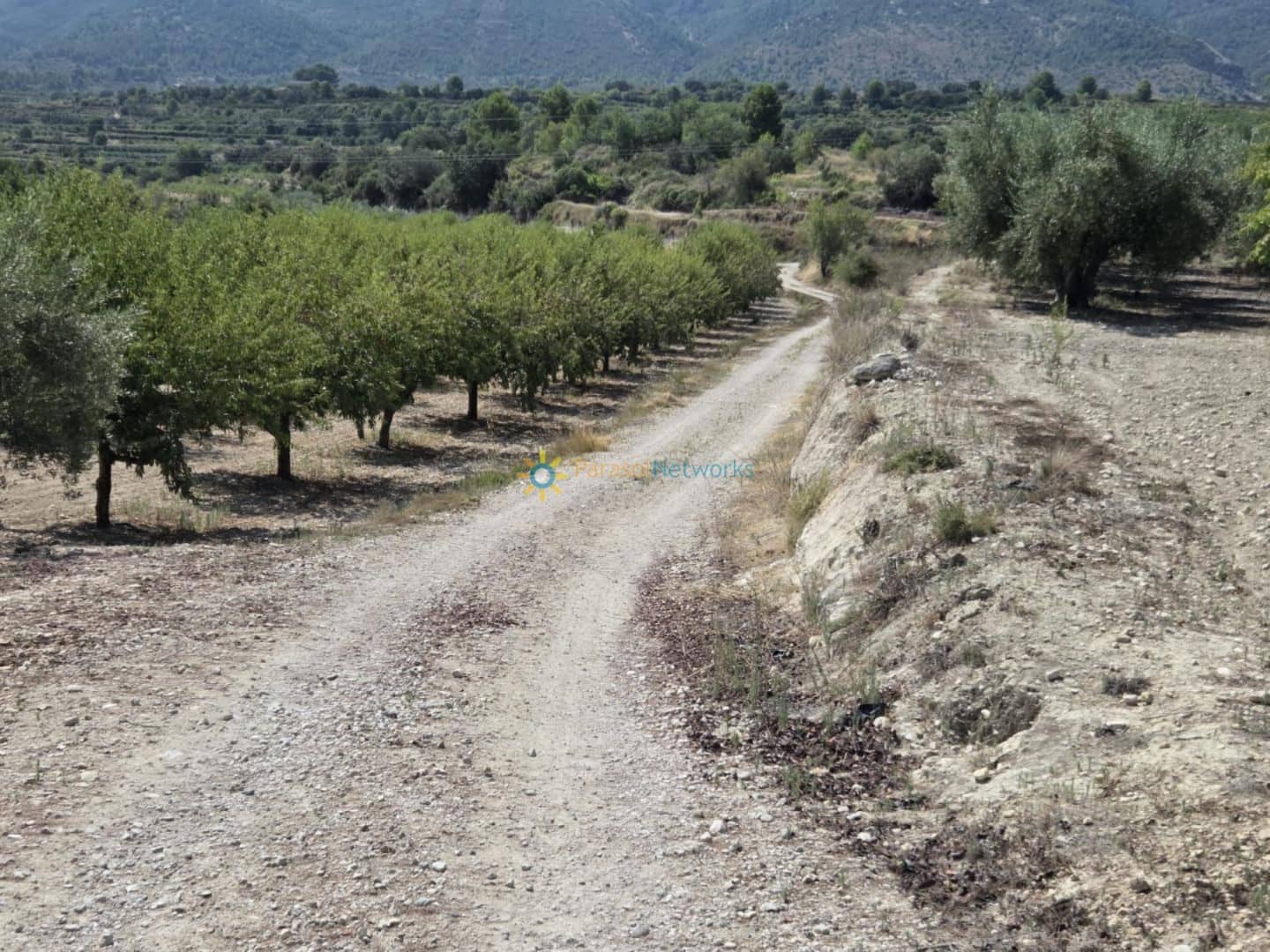 Undeveloped Land for sale in Belgida - € 50,000 (Ref: 9614526)