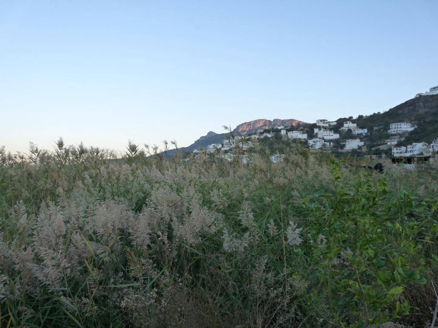 Bouwgrond te koop in Pego - € 50.000 (Ref: 9616802)