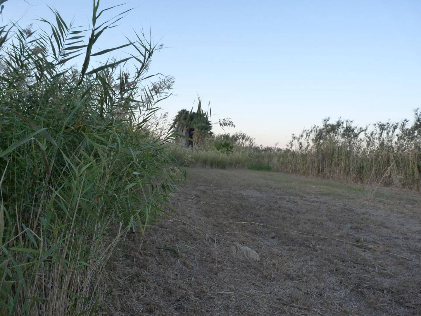 Bouwgrond te koop in Pego - € 50.000 (Ref: 9616802)