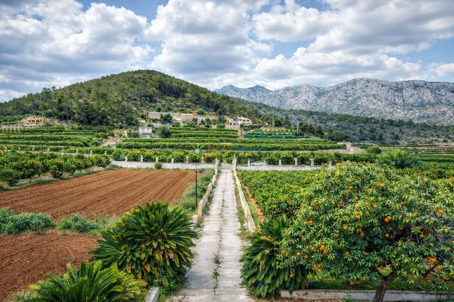 9 bedroom Villa for sale in Benifairo de la Valldigna with garage - € 550,000 (Ref: 9618059)