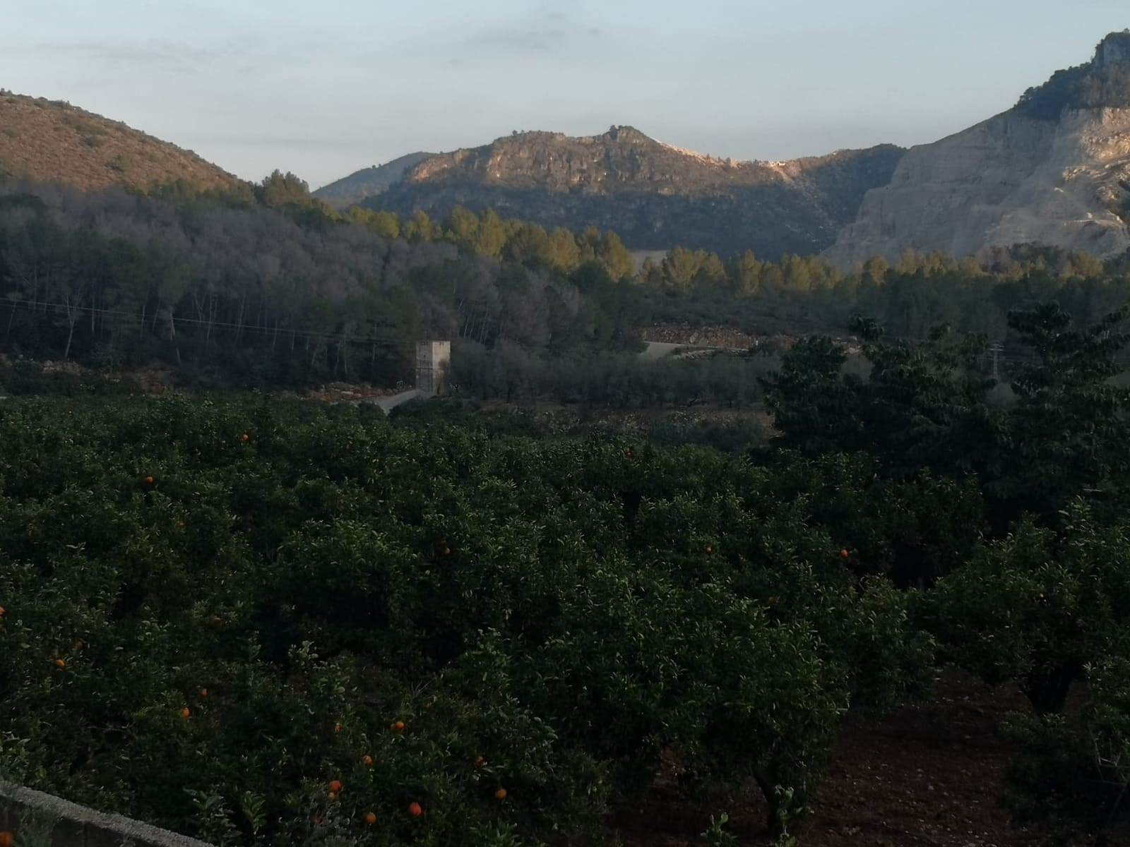 Finca/Casa di Campagna in vendita in Adsubia con piscina - 375.000 € (Rif: 9626497)