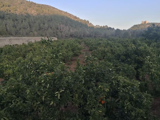 Finca/Casa di Campagna in vendita in Adsubia, Javea / Xàbia con piscina - 375.000 € (Rif: 9626497)