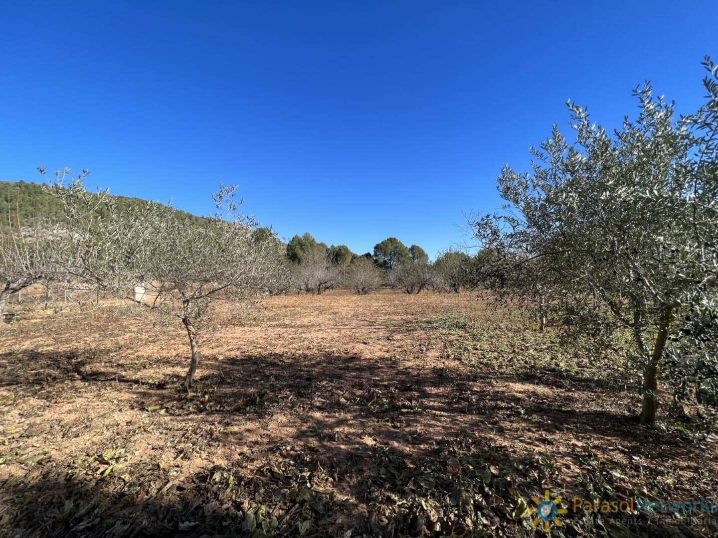 6 camera da letto Villa in vendita in L'Olleria con piscina - 495.000 € (Rif: 9626737)