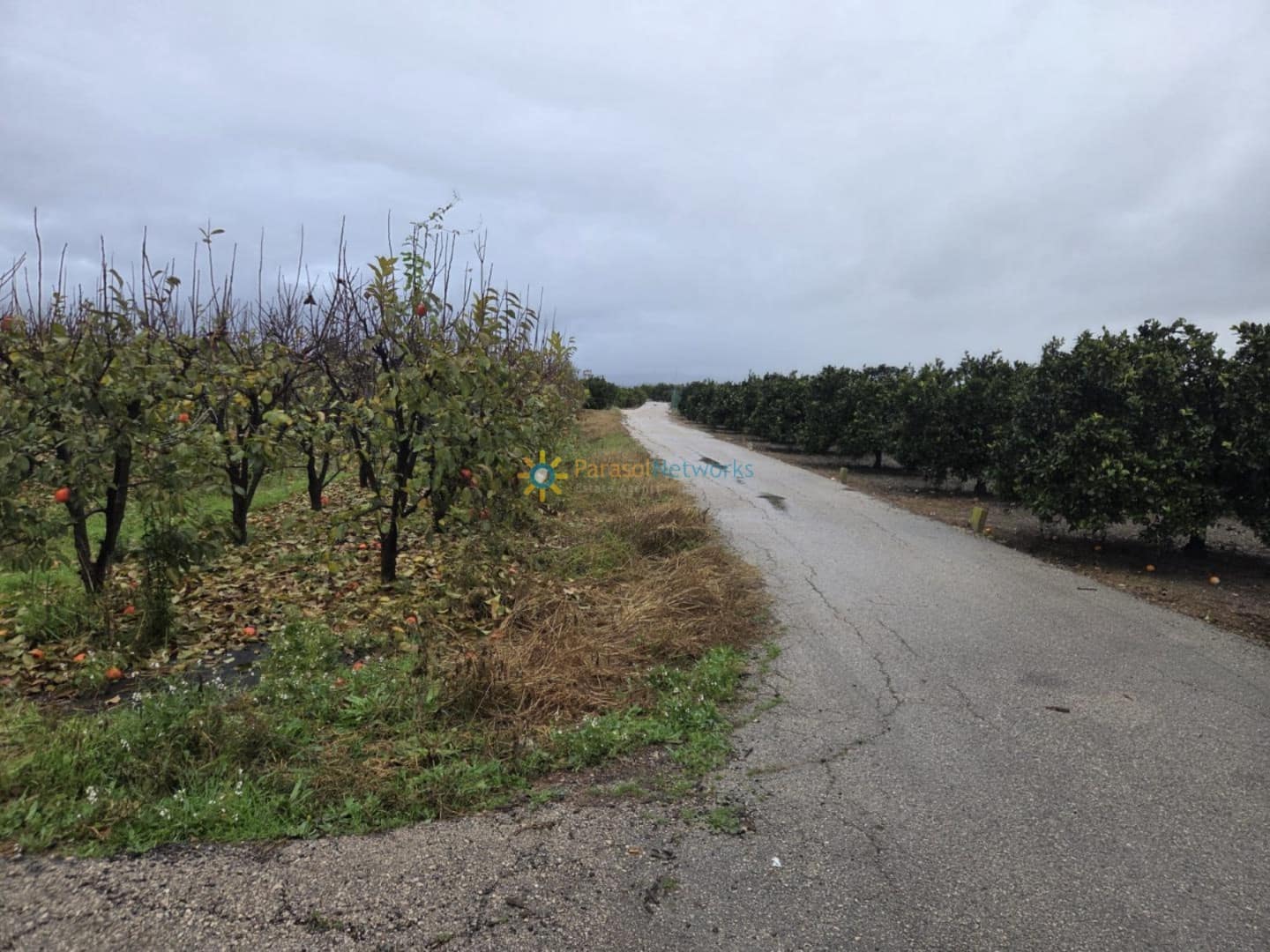 Byggegrund til salg i Senyera - € 8.000 (Ref: 9626748)