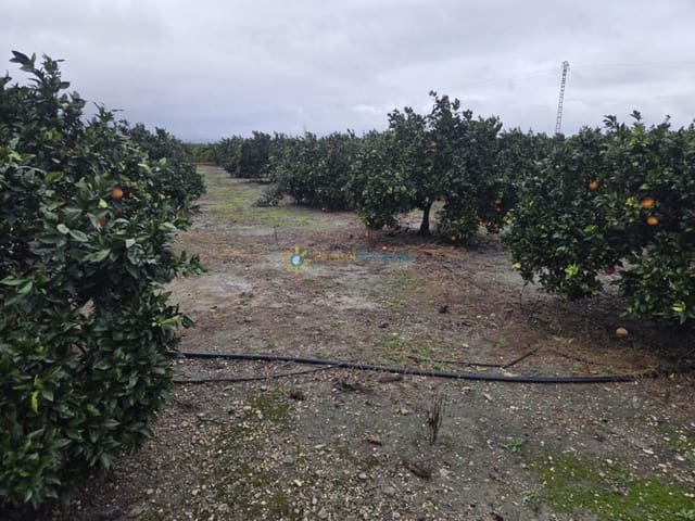 Byggegrund til salg i Senyera - € 8.000 (Ref: 9626748)