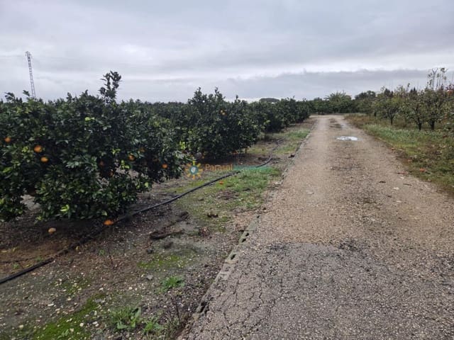 Byggegrund til salg i Senyera - € 8.000 (Ref: 9626748)