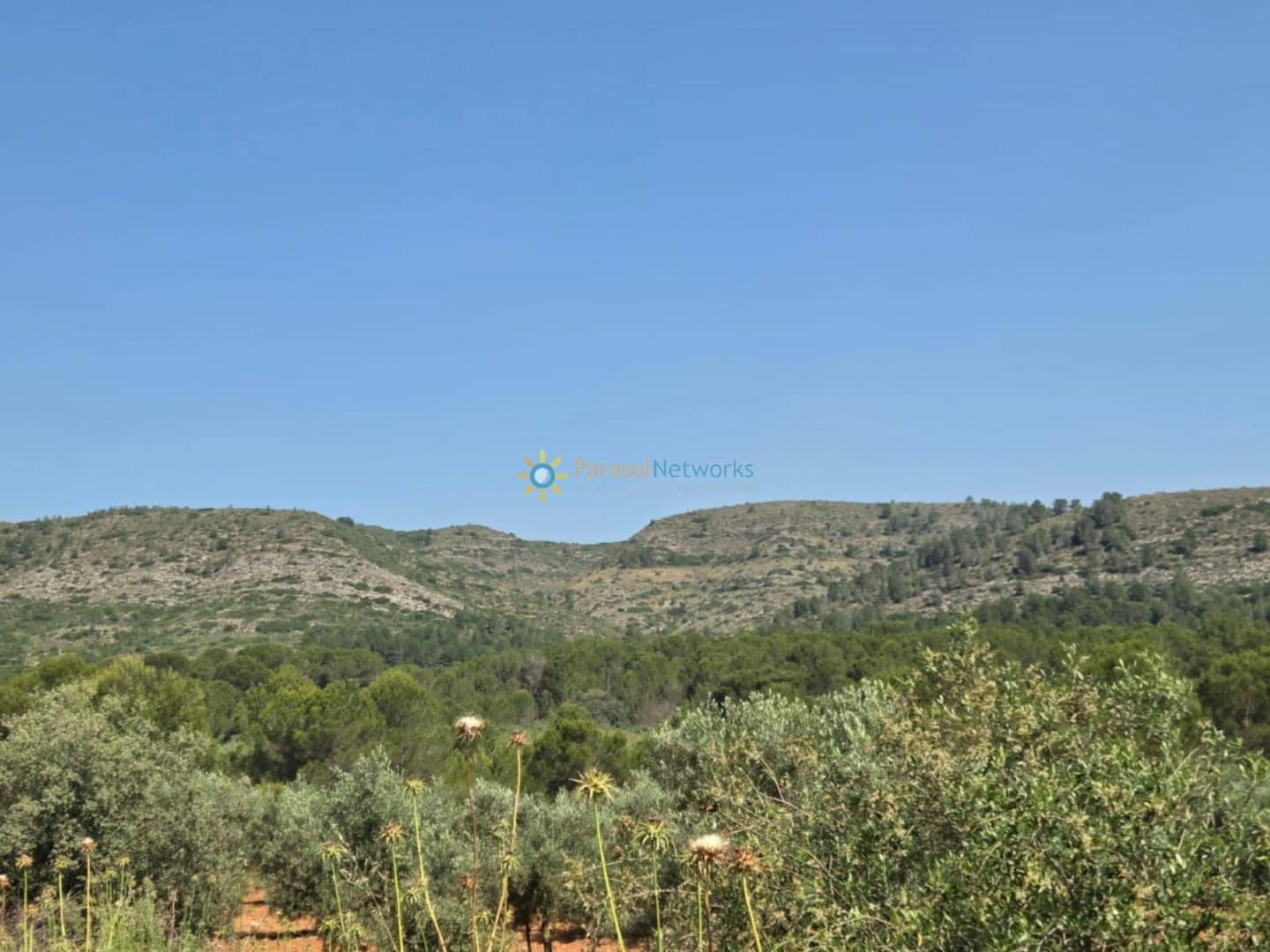 Undeveloped Land for sale in Bellus - € 21,000 (Ref: 9635046)