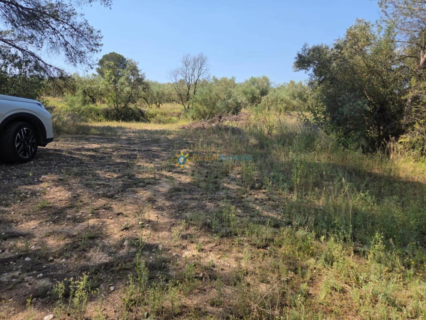 Undeveloped Land for sale in Bellus - € 21,000 (Ref: 9635046)