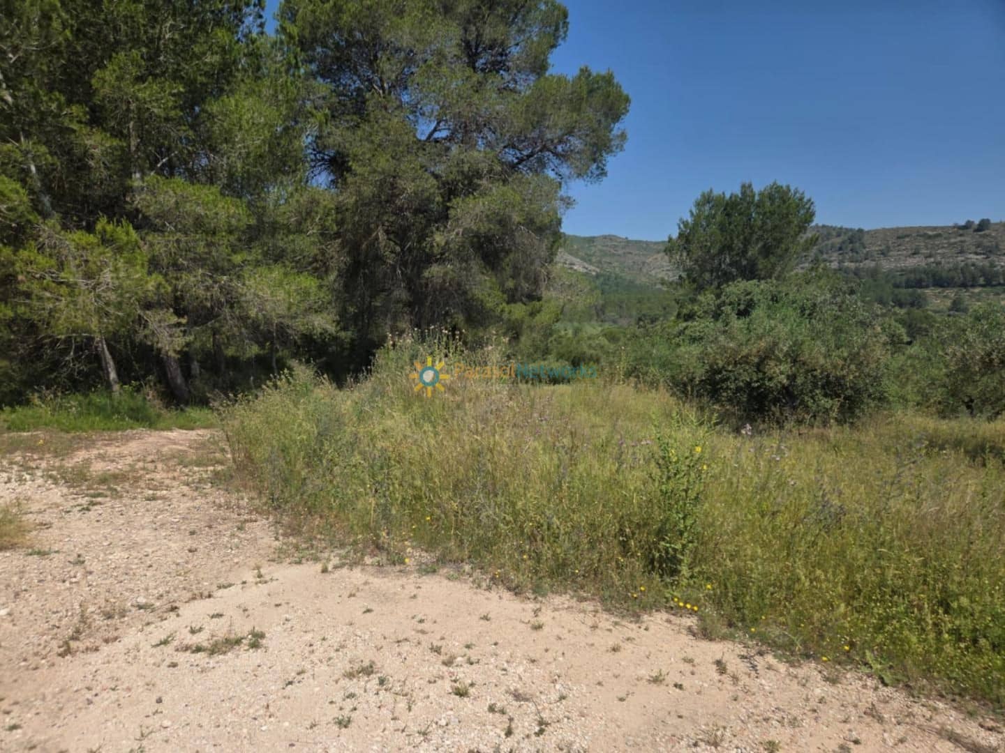 Undeveloped Land for sale in Bellus - € 21,000 (Ref: 9635046)
