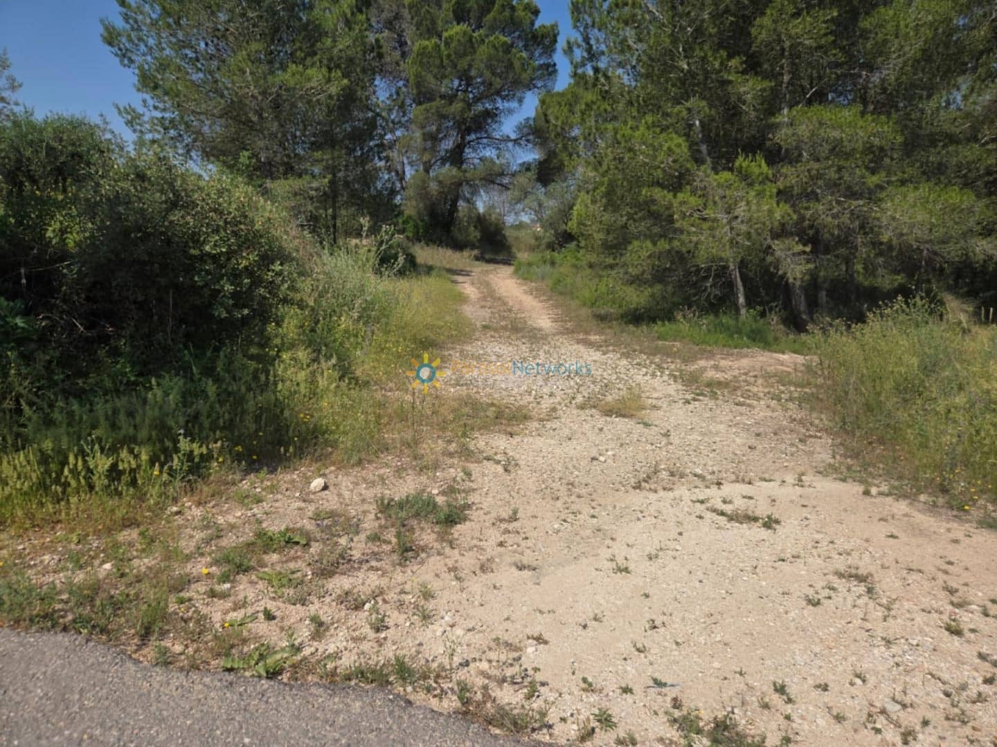 Undeveloped Land for sale in Bellus - € 21,000 (Ref: 9635046)