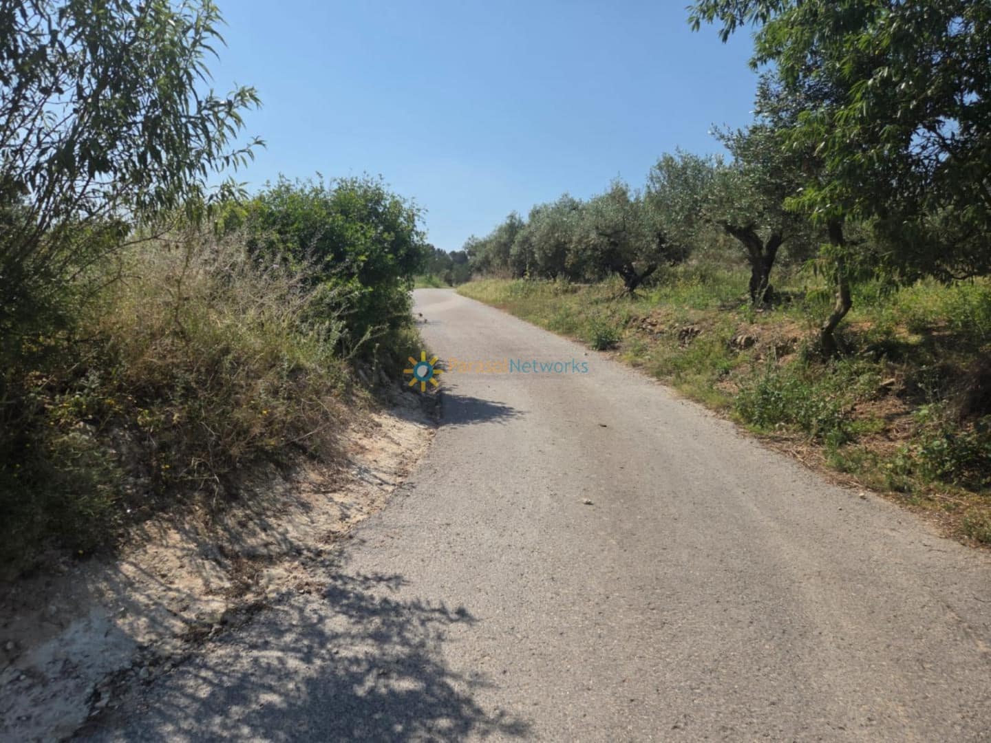 Undeveloped Land for sale in Bellus - € 21,000 (Ref: 9635046)