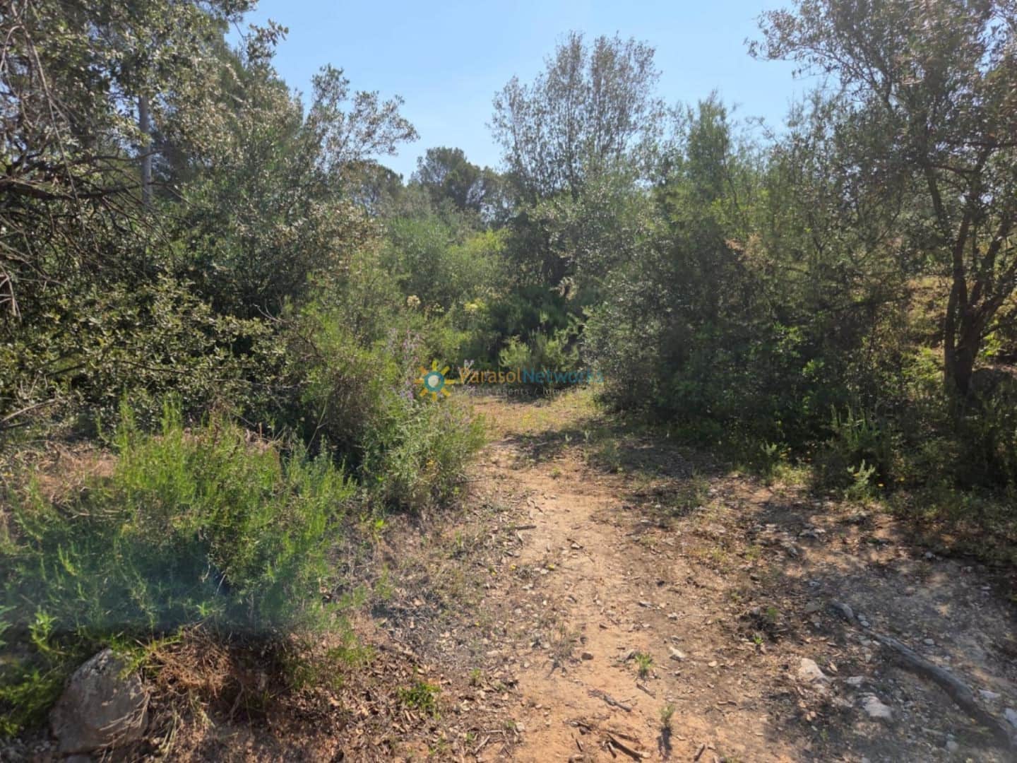 Undeveloped Land for sale in Bellus - € 21,000 (Ref: 9635046)