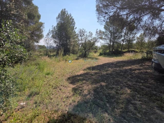 Mark till salu i Bellús - 21 000 € (Ref: 9635046)