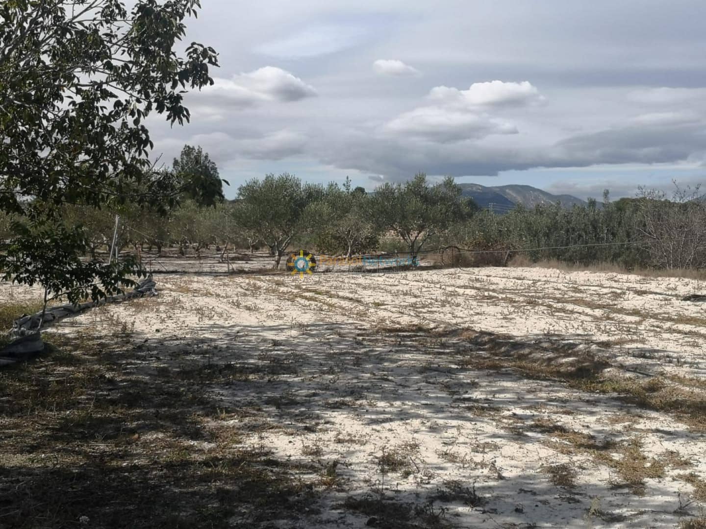 3 quarto Casa em Banda para venda em Bufali com piscina garagem - 110 000 € (Ref: 9635047)