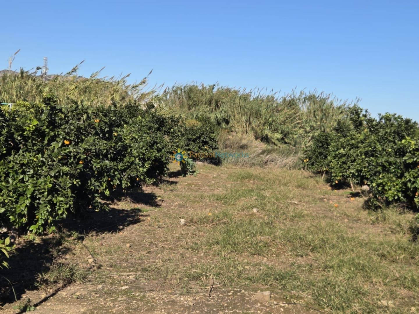 Undeveloped Land for sale in Xeraco - € 93,000 (Ref: 9640773)