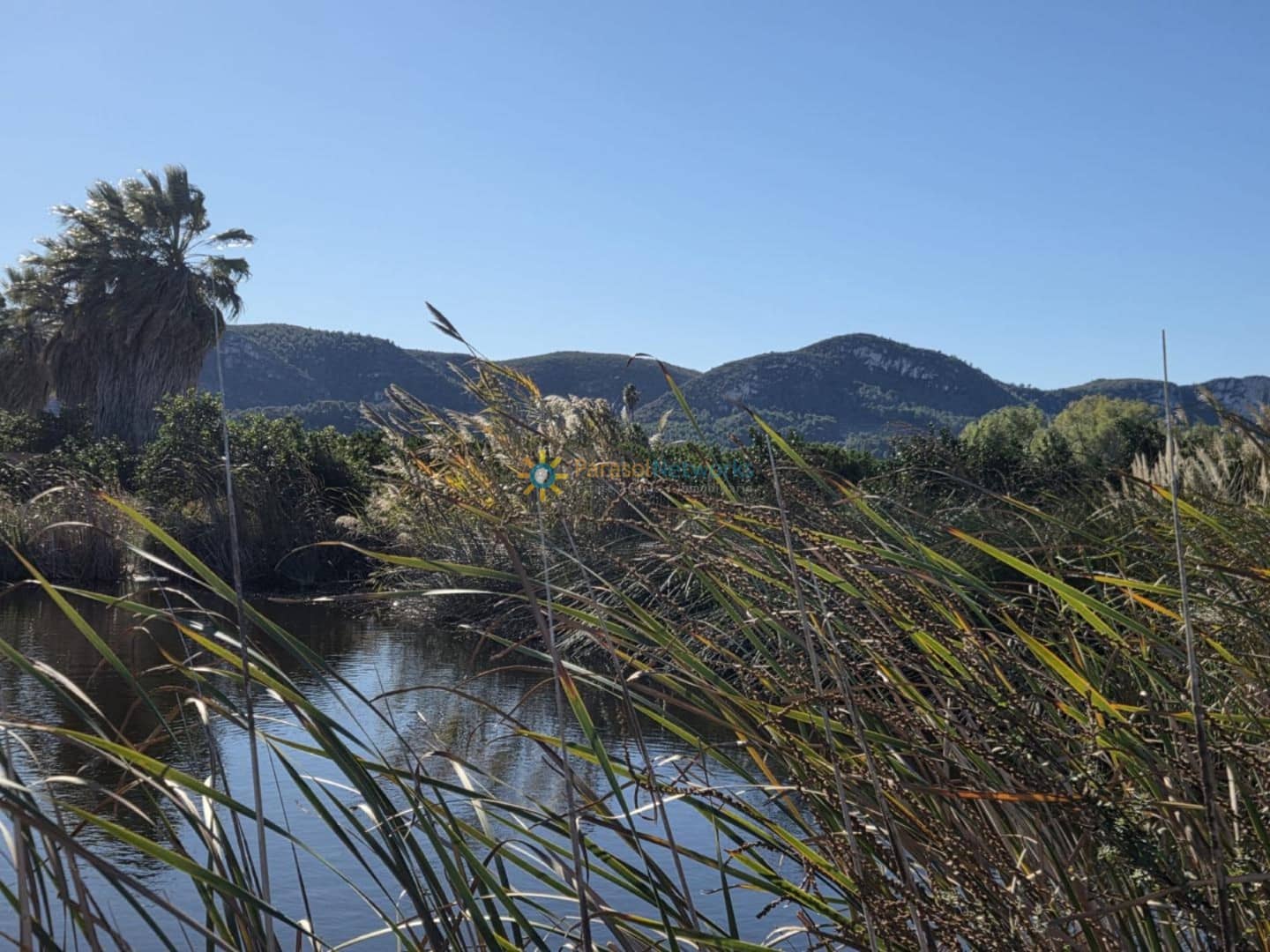 Undeveloped Land for sale in Xeraco - € 93,000 (Ref: 9640773)