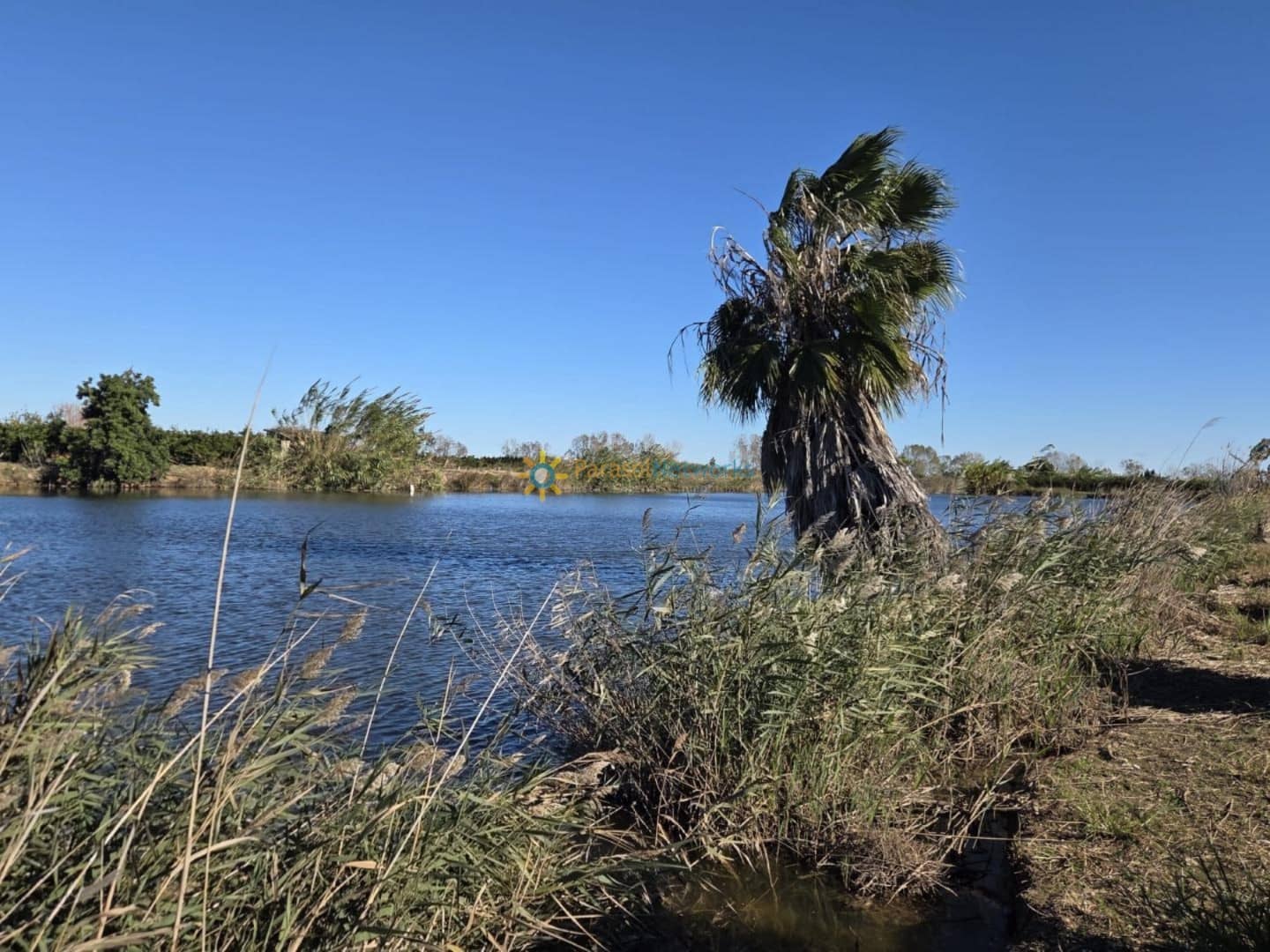 Undeveloped Land for sale in Xeraco - € 93,000 (Ref: 9640773)