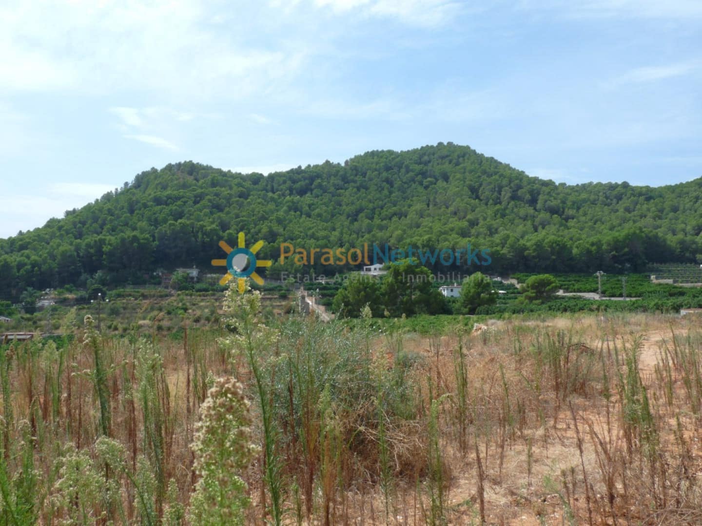 Bauplatz zu verkaufen in Real de Gandia - 159.000 € (Ref: 9649956)