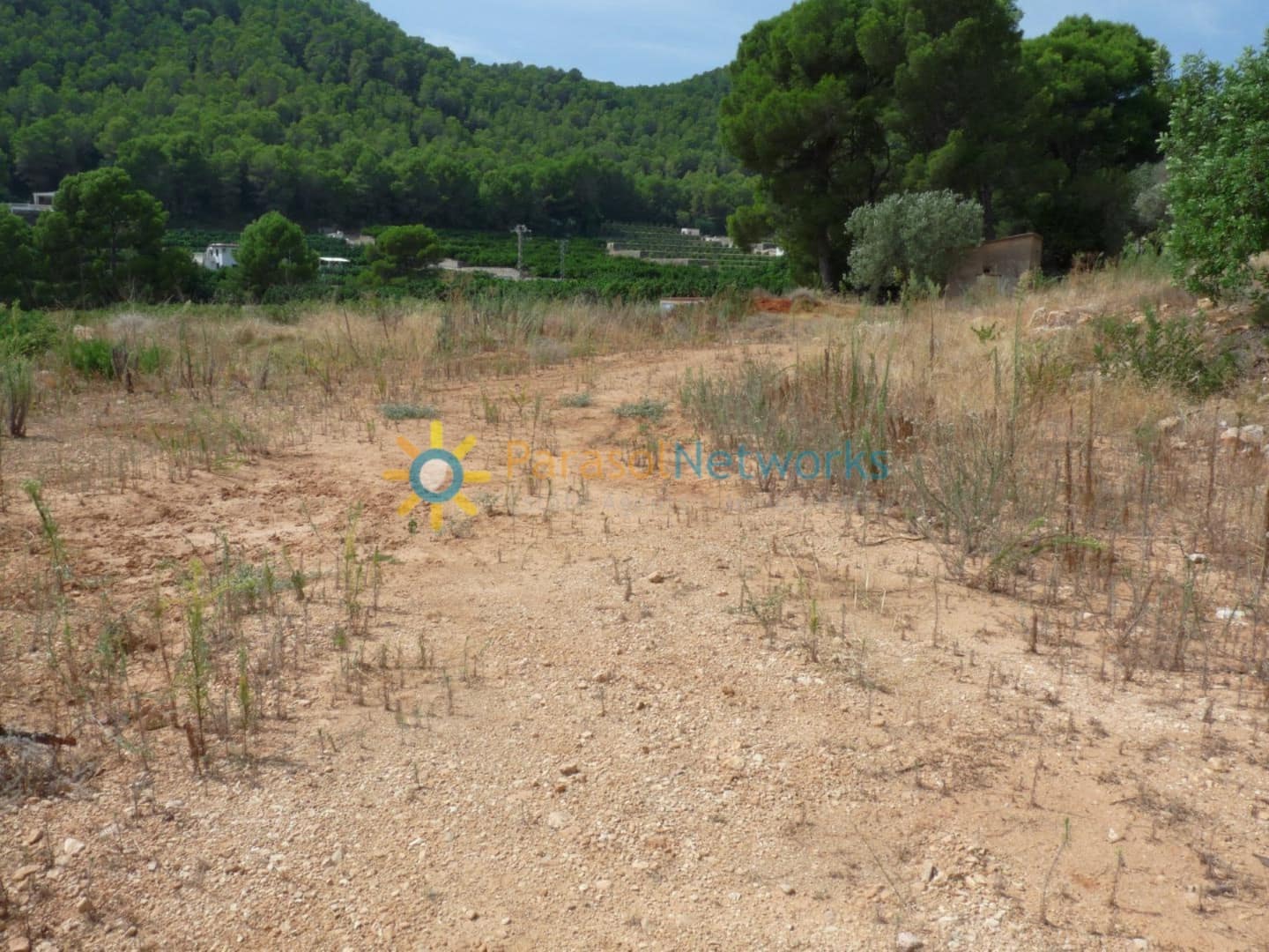 Bauplatz zu verkaufen in Real de Gandia - 159.000 € (Ref: 9649956)