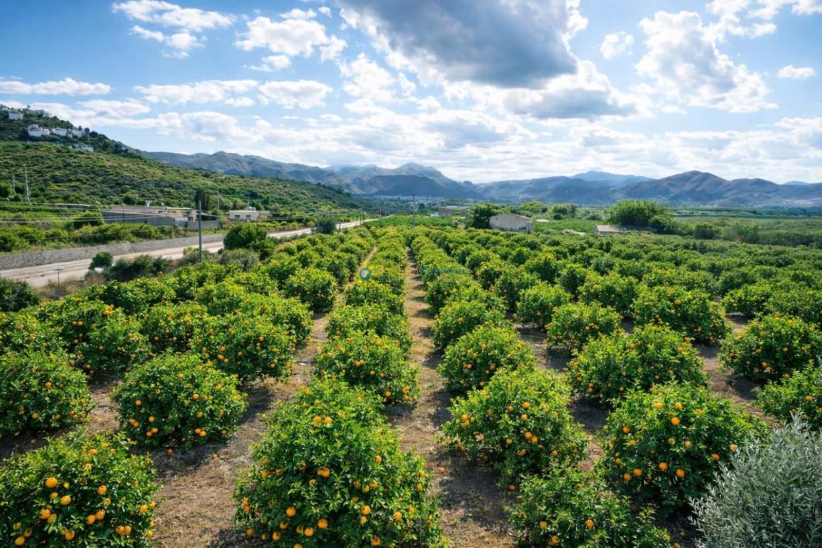 Finca/Casa Rural de 2 habitaciones en Pego en venta con garaje - 200.000 € (Ref: 9658087)