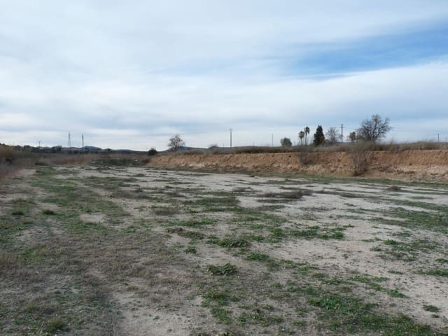 Terreno Non Edificato in vendita in Alfarrasí - 29.000 € (Rif: 9669301)
