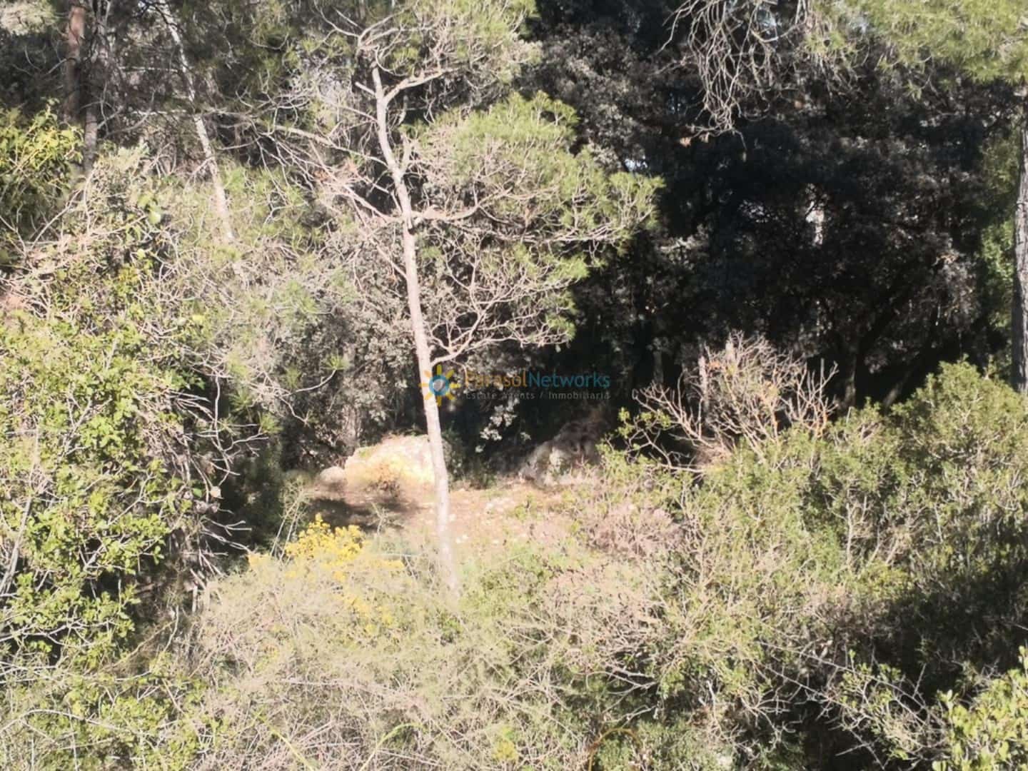 Teren niezagospodarowany na sprzedaż w Muro de Alcoy - 128 000 € (Ref: 9669547)