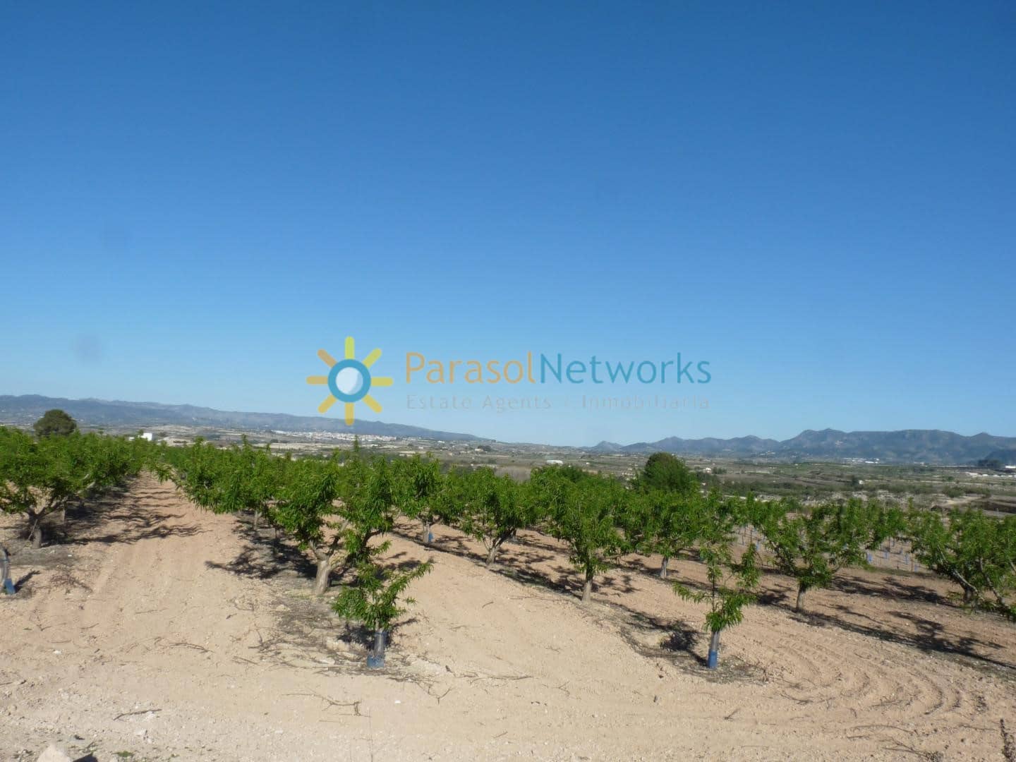 Terreno Não Urbanizado para venda em Belgida - 125 000 € (Ref: 9672707)