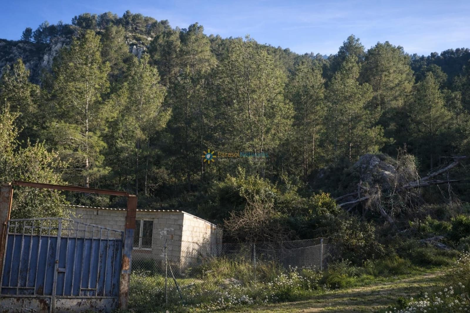 Undeveloped Land for sale in Muro de Alcoy - € 128,000 (Ref: 9674808)