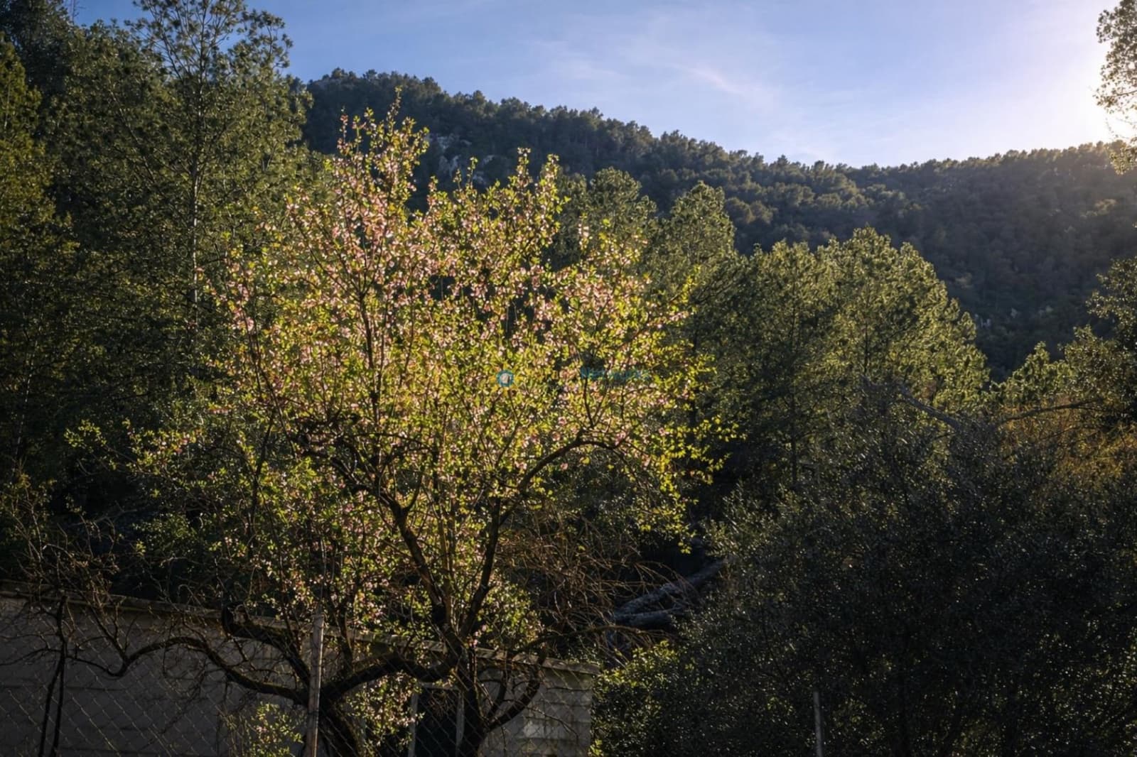 Undeveloped Land for sale in Muro de Alcoy - € 128,000 (Ref: 9674808)