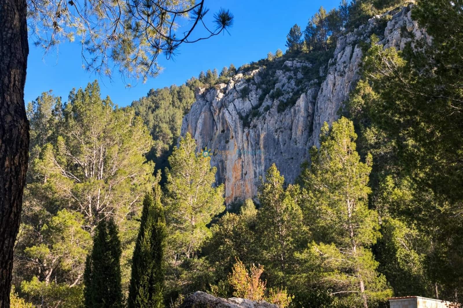 Undeveloped Land for sale in Muro de Alcoy - € 128,000 (Ref: 9674808)