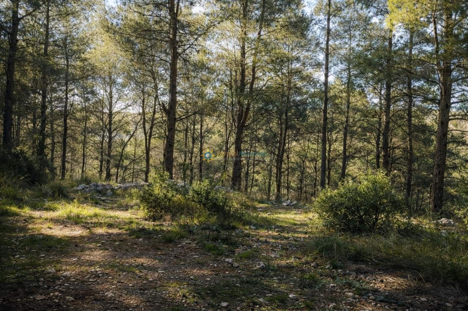 Undeveloped Land for sale in Muro de Alcoy - € 128,000 (Ref: 9674808)