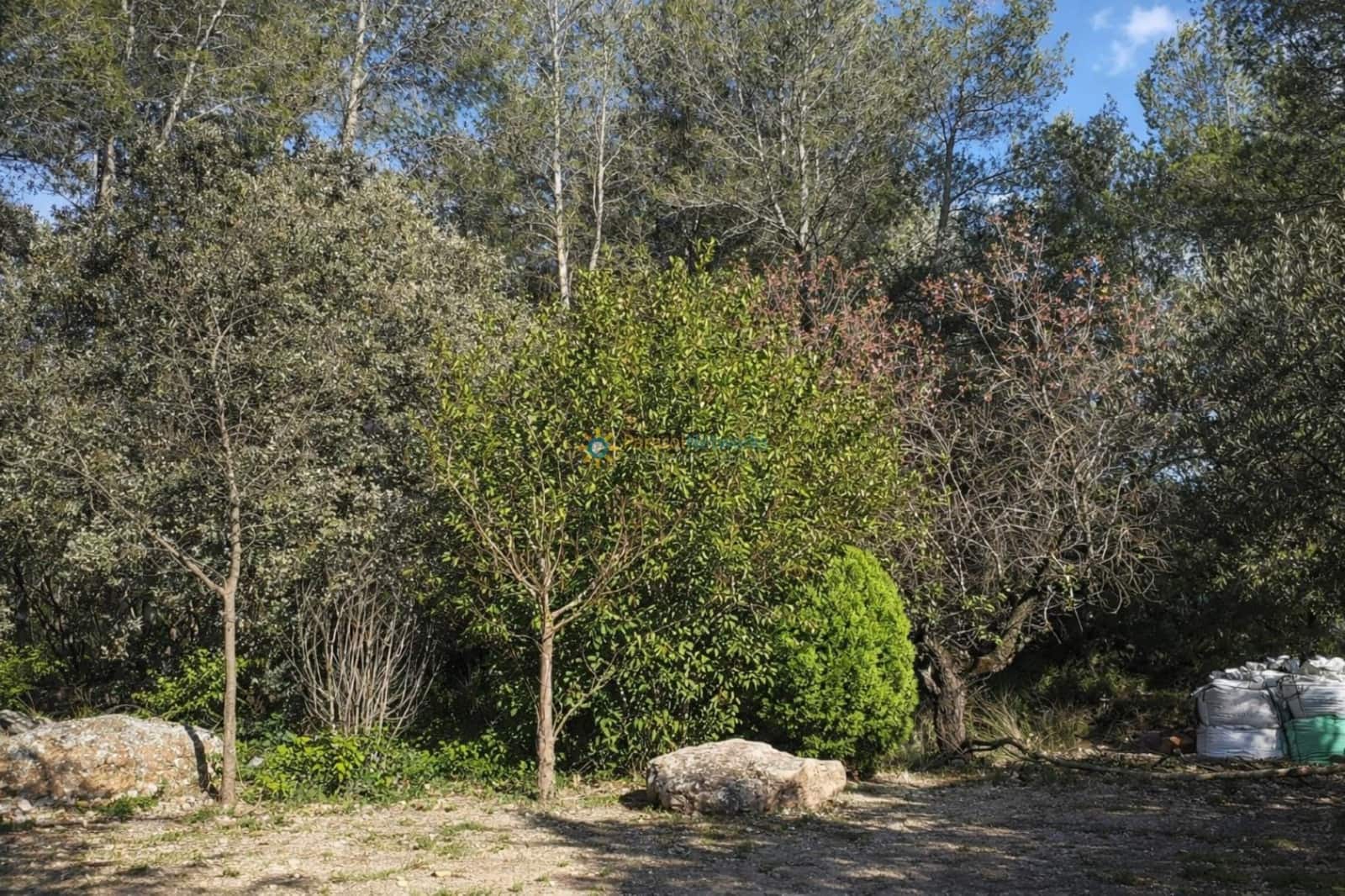 Undeveloped Land for sale in Muro de Alcoy - € 128,000 (Ref: 9674808)