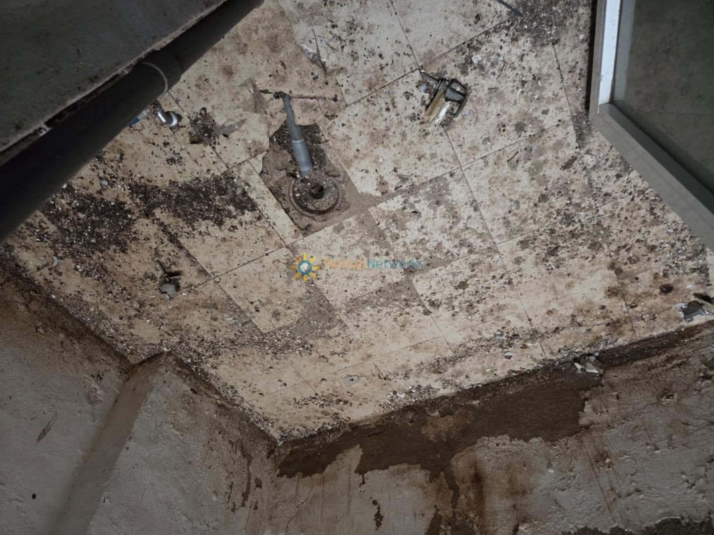 Business for sale in Gandia - € 420,000 (Ref: 9676554)