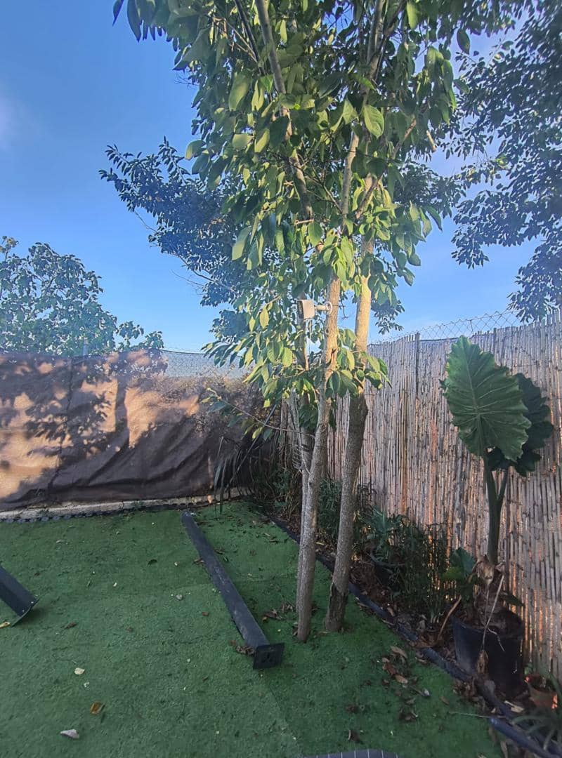 1 camera da letto Villa in vendita in Carcaixent con piscina - 98.000 € (Rif: 9679080)