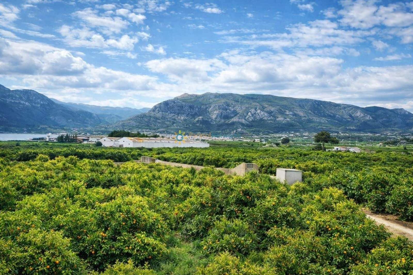 9 sypialnia Finka/Dom wiejski na sprzedaż w Benifairo de la Valldigna z garażem - 550 000 € (Ref: 9685666)