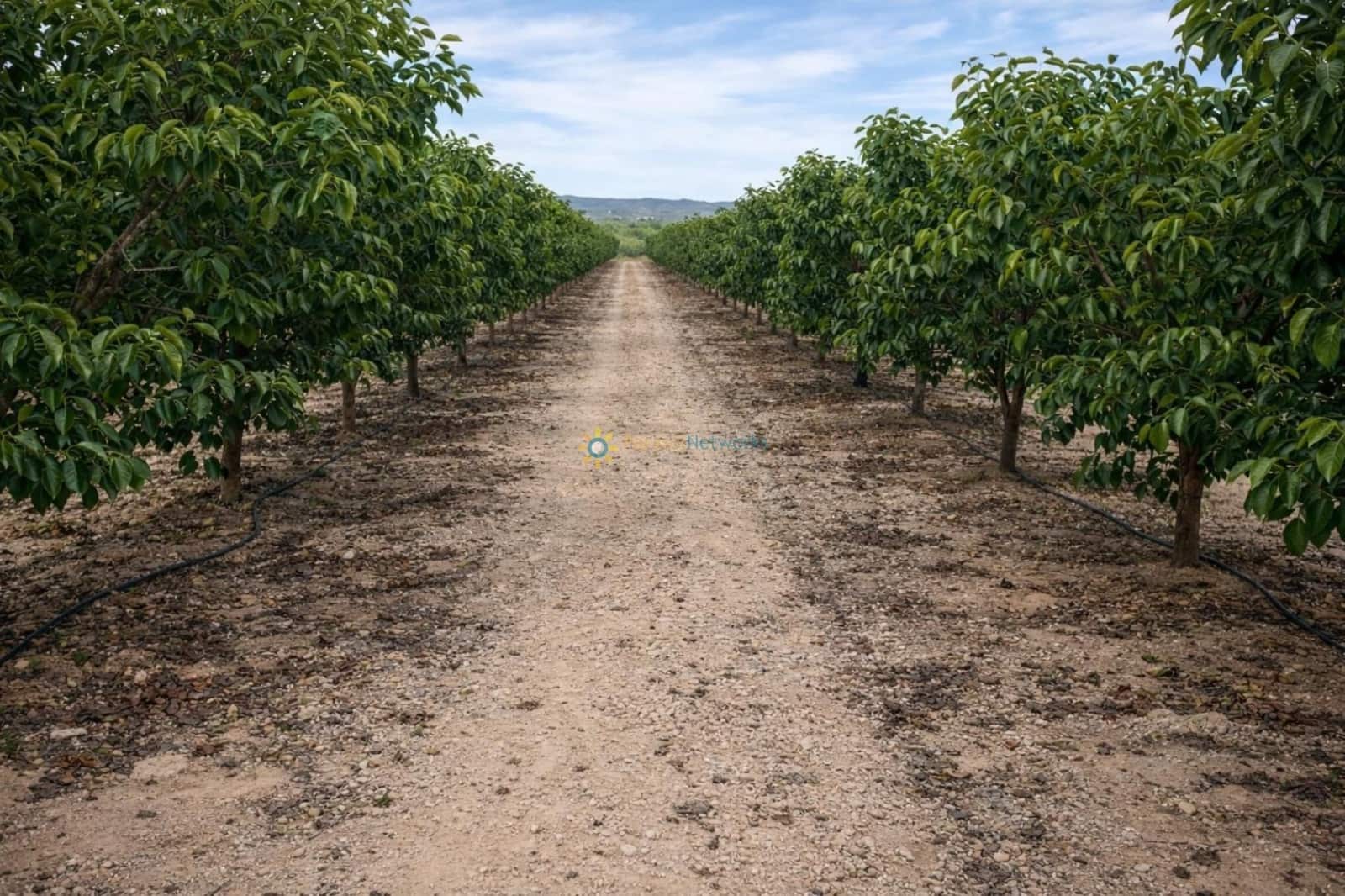 Villa for sale in Beniganim with garage - € 88,000 (Ref: 9694527)