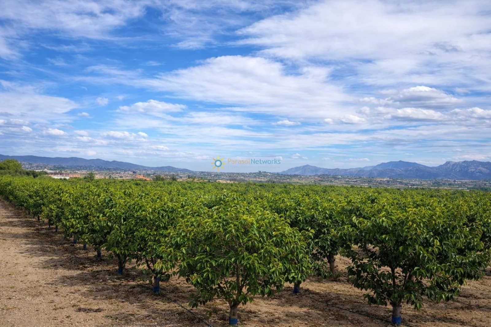 Villa for sale in Beniganim with garage - € 88,000 (Ref: 9694527)